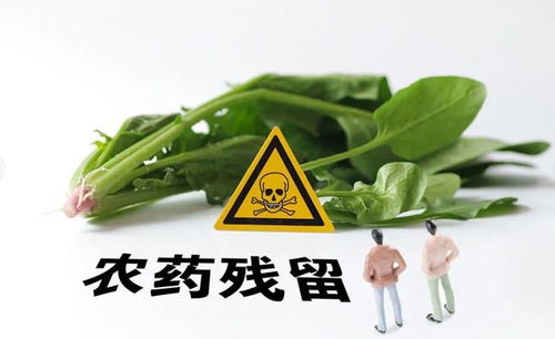 瀘州食品檢查通報(bào) 知名超市與火鍋店現(xiàn)不合格食品，市民需警惕
